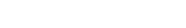Spagnolo